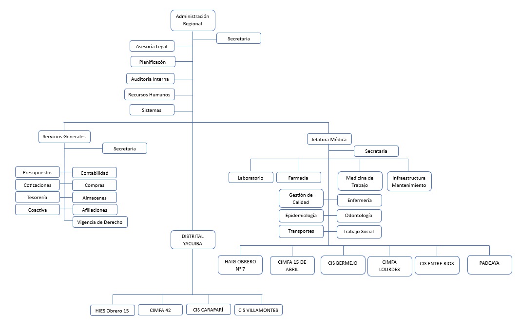 Organigrama CNS
